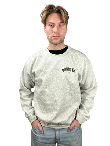 LV CREW NECK ASH 004